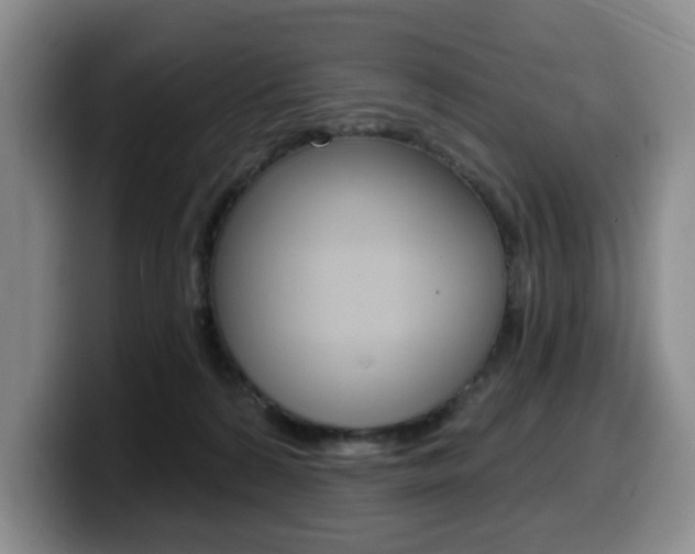 X0000099450224200805090734