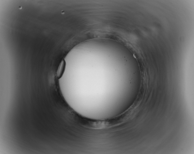 X0000099450225200805090734