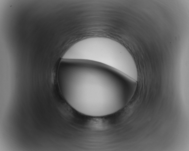 X0000099450227200805090734
