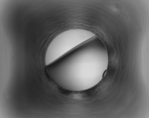 X0000099450228200805090734