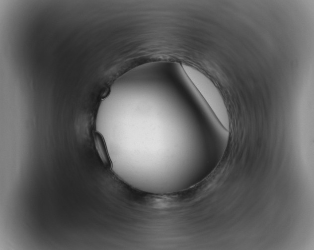 X0000099450229200805090734