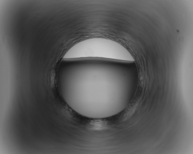 X0000099450231200805090734