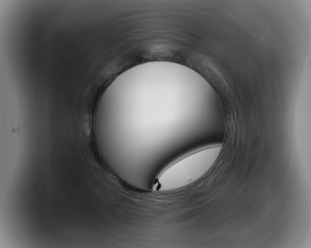 X0000099450232200805090734