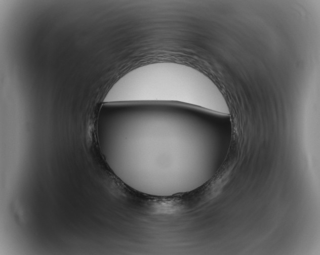 X0000099450235200805090734