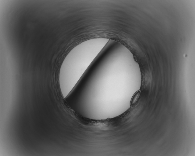 X0000099450236200805090734