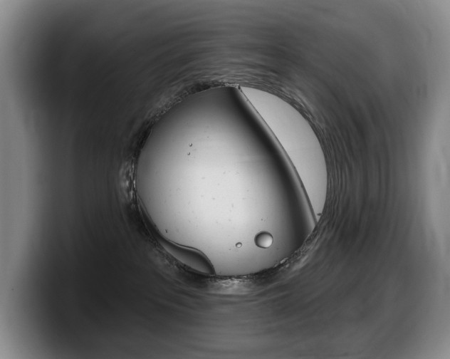 X0000099450237200805090733