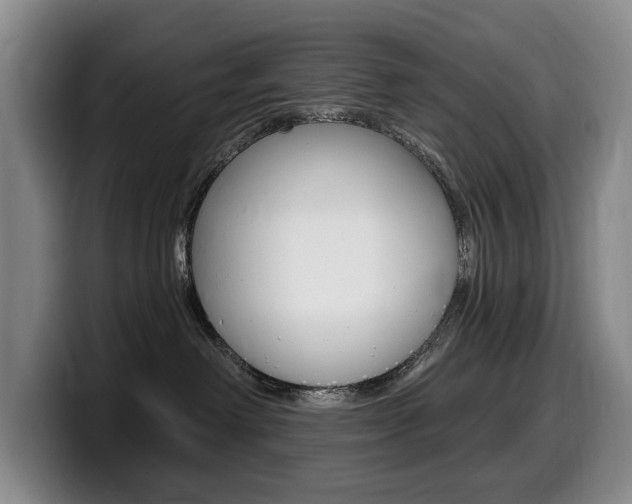 X0000099450238200805090733