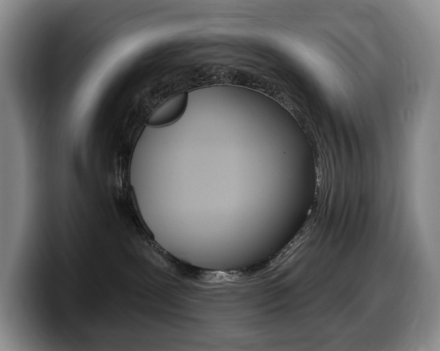 X0000099450239200805090733