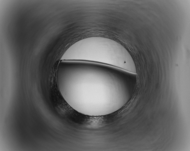 X0000099450240200805090733