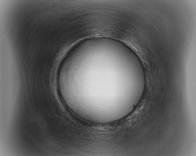 X0000099450241200805090733