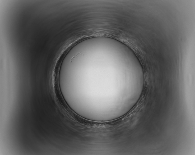 X0000099450242200805090733