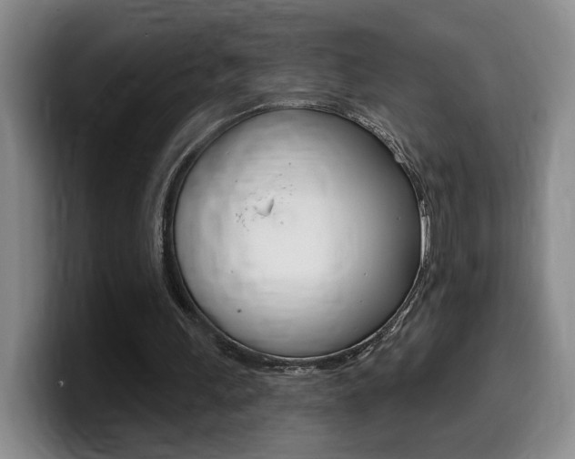 X0000099450243200805090733