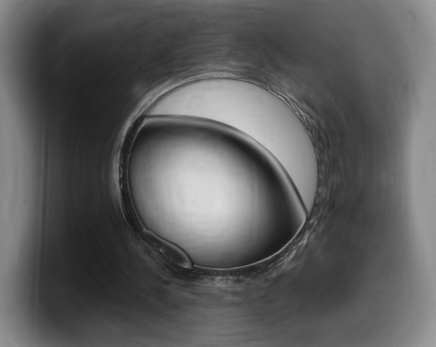 X0000099450244200805090733