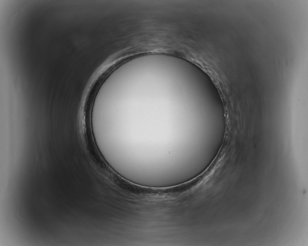 X0000099450246200805090733