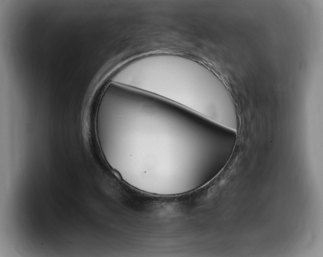 X0000099450247200805090733