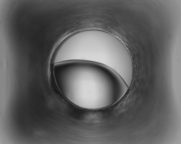X0000099450248200805090733