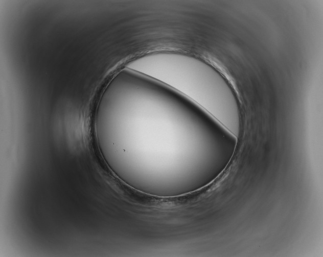 X0000099450249200805090733