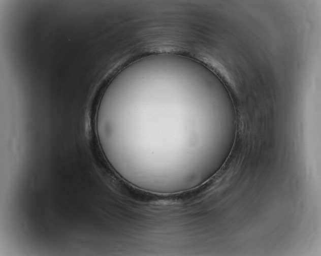 X0000099450251200805090733