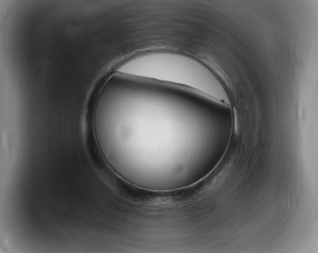 X0000099450252200805090733