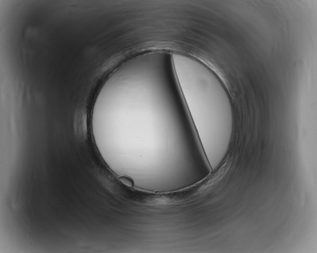 X0000099450253200805090733