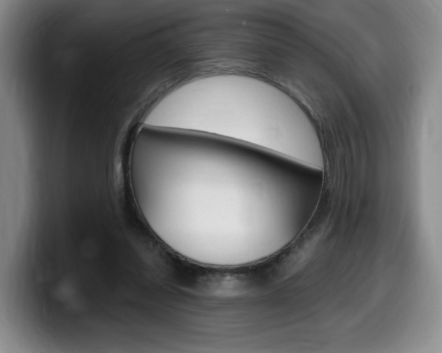 X0000099450254200805090733