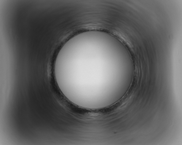 X0000099450255200805090733