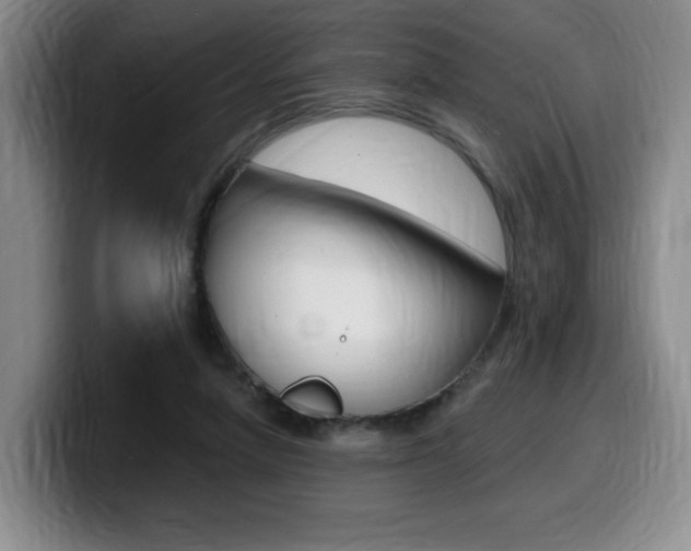 X0000099450258200805090733