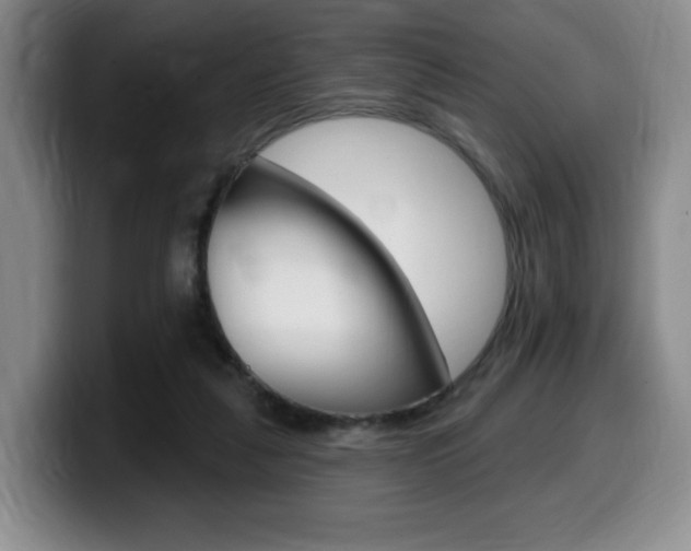 X0000099450259200805090733