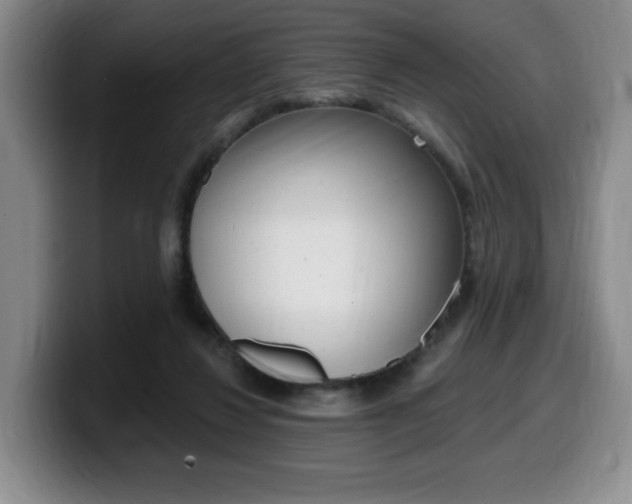 X0000099450260200805090733