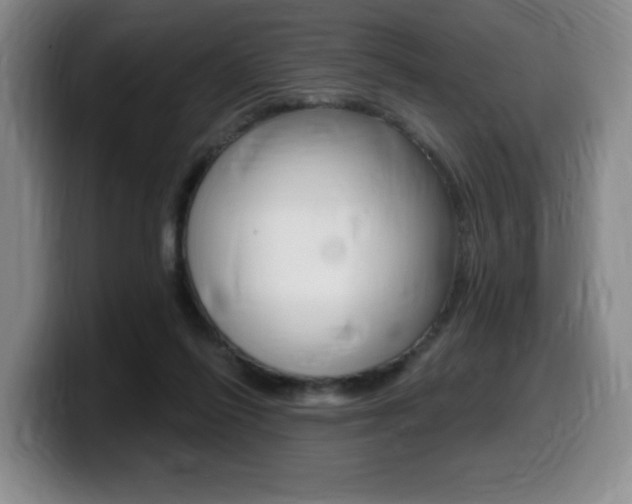 X0000099450262200805090733