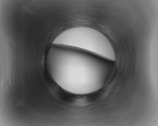 X0000099450263200805090733