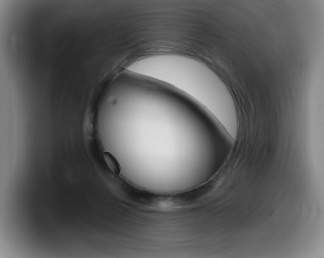 X0000099450264200805090733