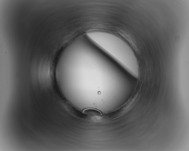 X0000099450265200805090733