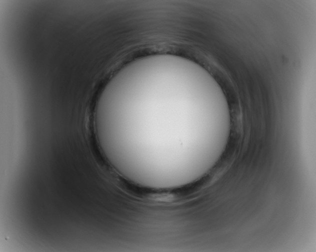 X0000099450266200805090733
