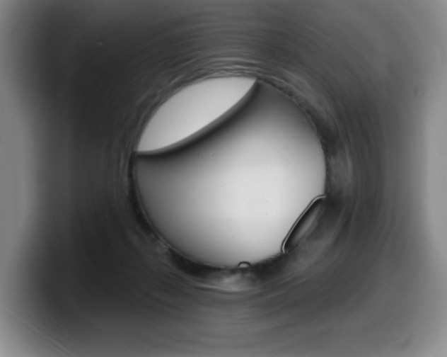 X0000099450267200805090733