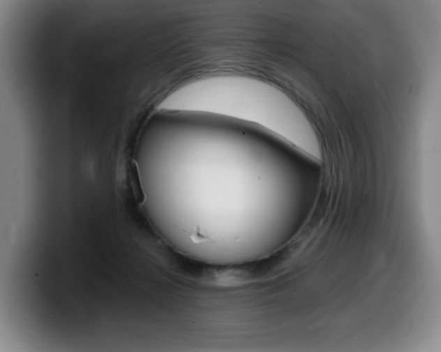 X0000099450268200805090733