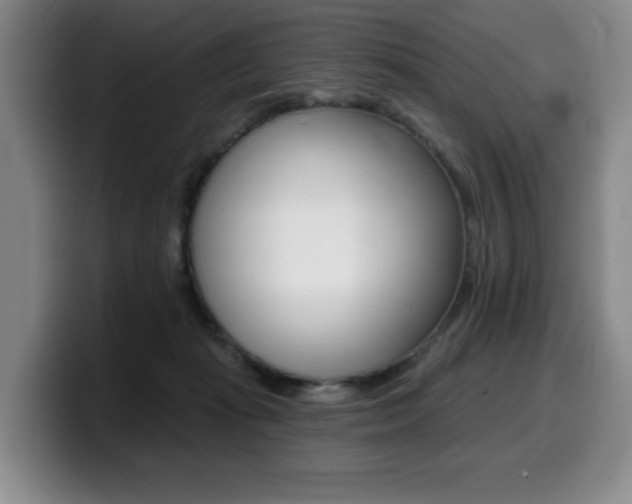 X0000099450269200805090733