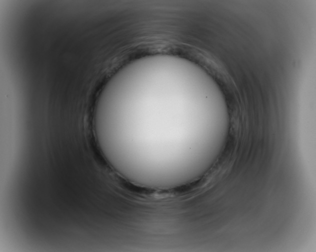 X0000099450270200805090733