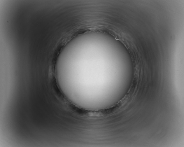 X0000099450272200805090733