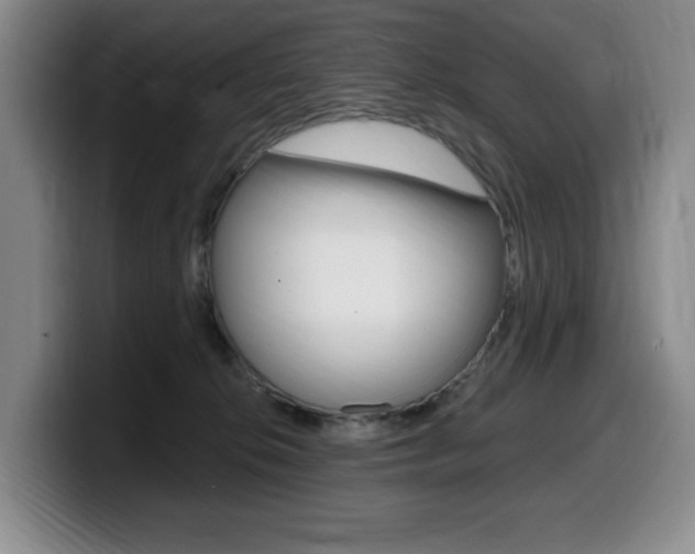 X0000099450276200805090733