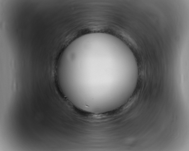 X0000099450277200805090733