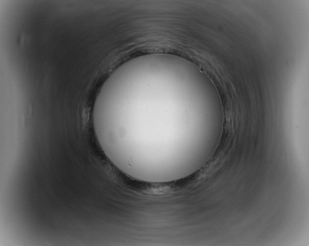 X0000099450278200805090733