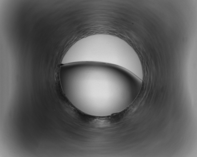 X0000099450280200805090733