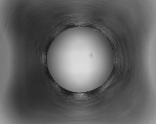 X0000099450281200805090733