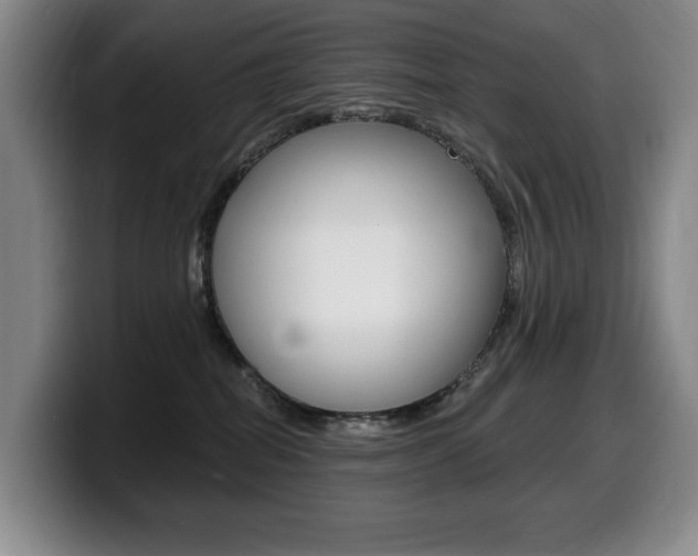 X0000099450282200805090733