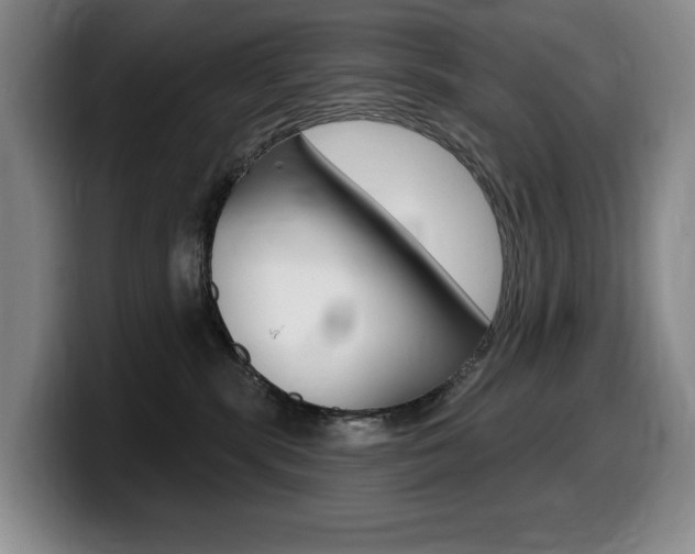 X0000099450283200805090733