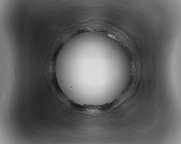 X0000099450284200805090733