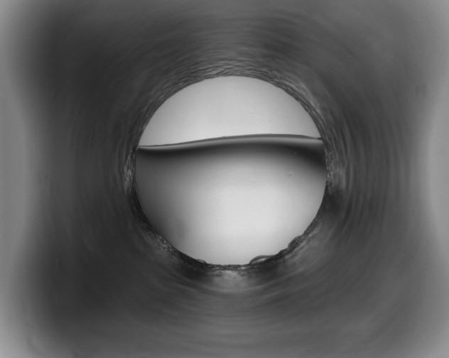 X0000099450285200805090733