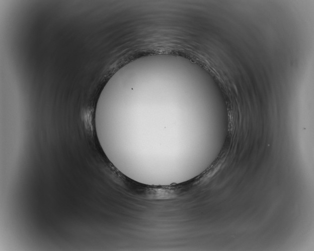 X0000099450286200805090733