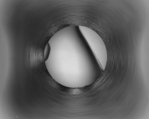 X0000099450287200805090733